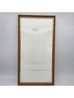 Vintage Gold Ornate Rectangular Frame Glass 24" X 12"
